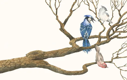 Illustration of three birds perched on a tree branch