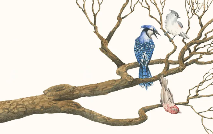 Illustration of three birds perched on a tree branch