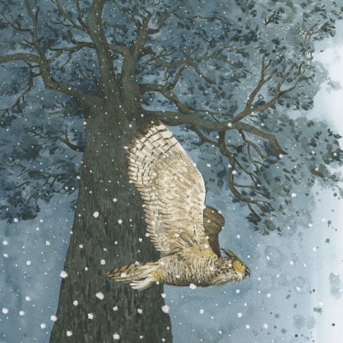 Illustration of an owl flying near a large tree in snowfall