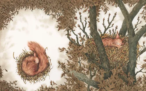 Illustration of a curled squirrel outside and another squirrel in a tree nest