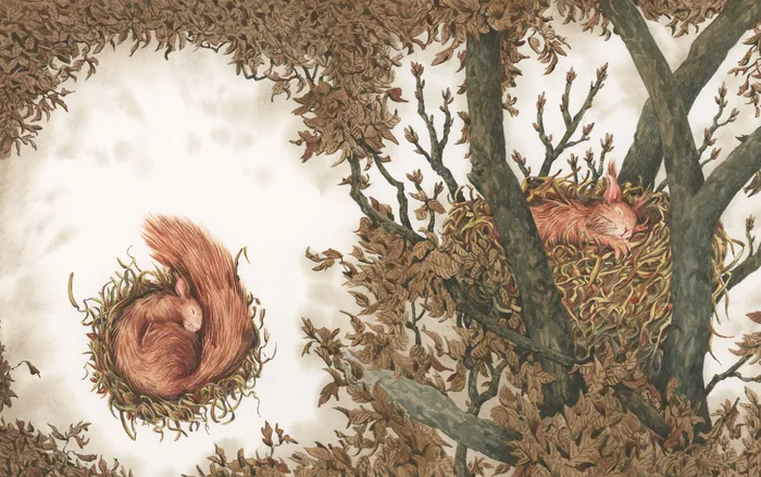 Illustration of a curled squirrel outside and another squirrel in a tree nest