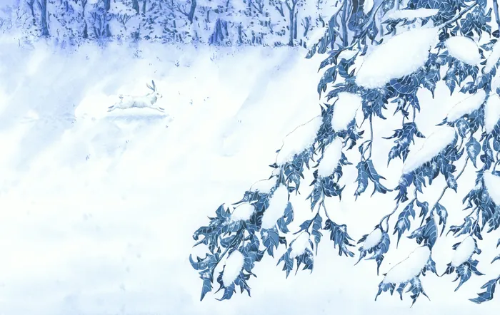 Snow-covered tree branches in a winter forest scene