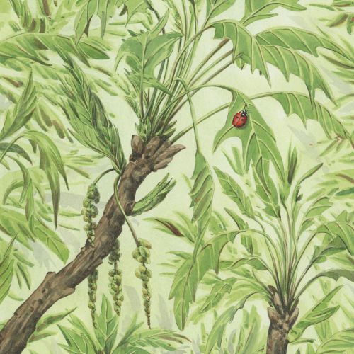 Illustration of green leafy branches with a red ladybug