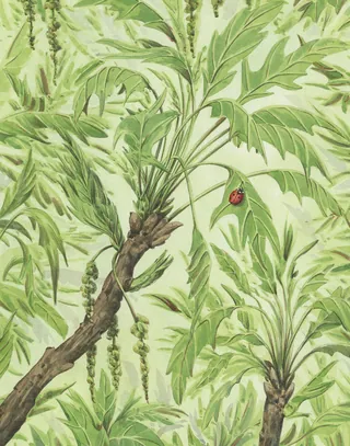 Illustration of green leafy branches with a red ladybug