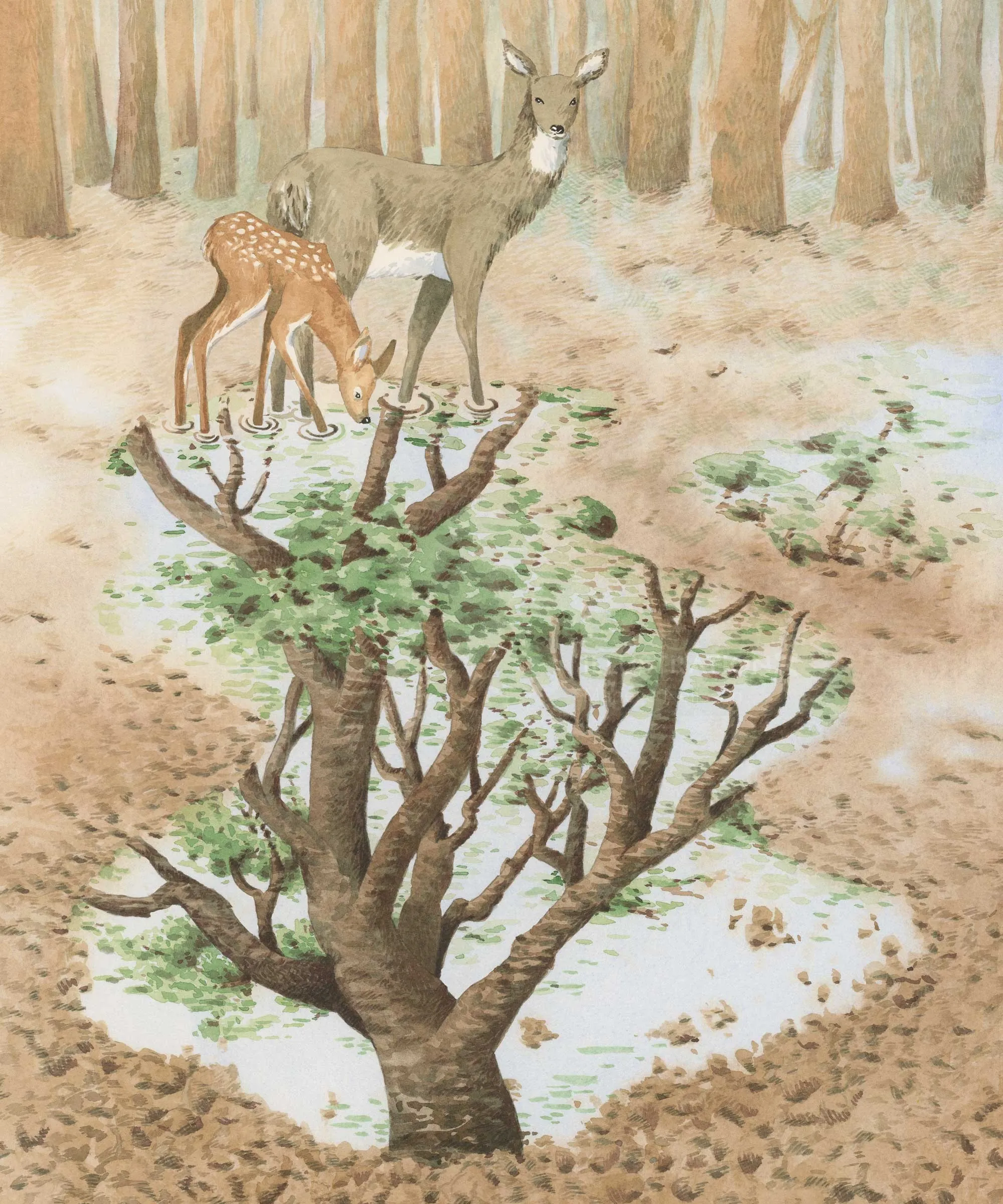 Deer and fawn standing near a tree with antlers growing leaves