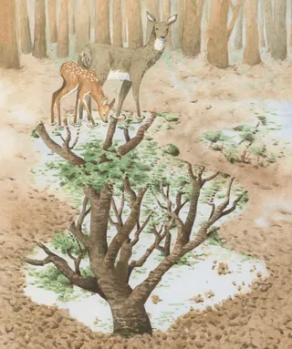 Deer and fawn standing near a tree with antlers growing leaves
