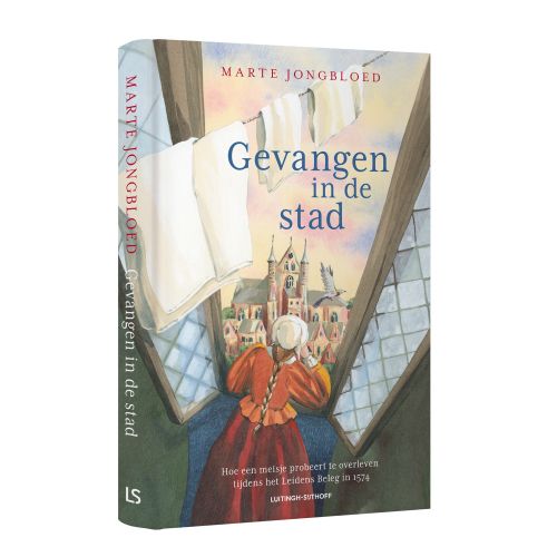 Book cover showing a historic city view through a window with a woman in period clothing