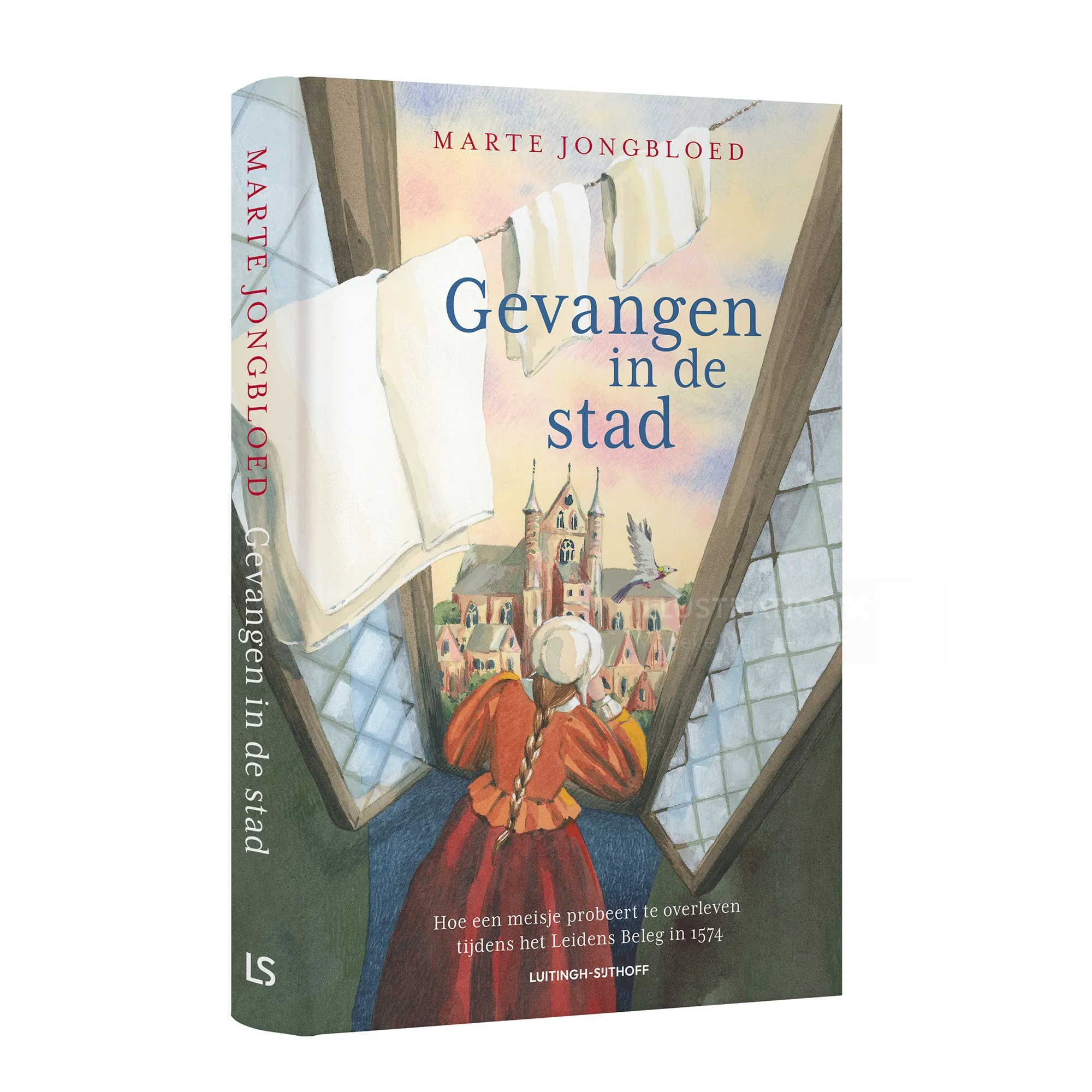 Book cover showing a historic city view through a window with a woman in period clothing