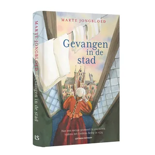 Book cover showing a historic city view through a window with a woman in period clothing