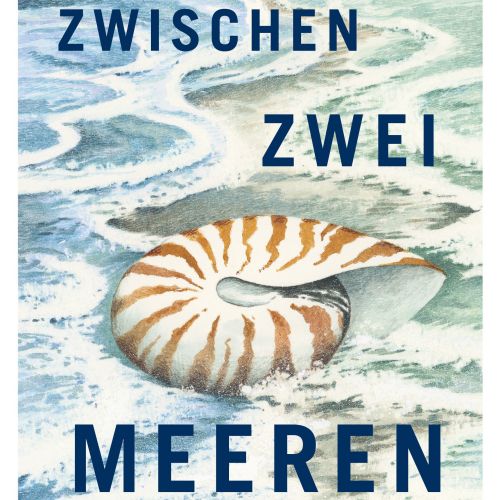Book cover with a nautilus shell on a sandy shore and ocean waves
