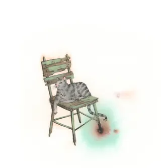 Gray tabby cat resting on a worn wooden chair with paint marks