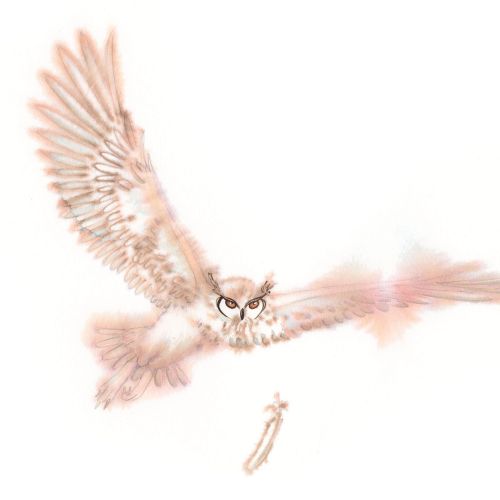 Illustration of a flying owl with outstretched wings on white background