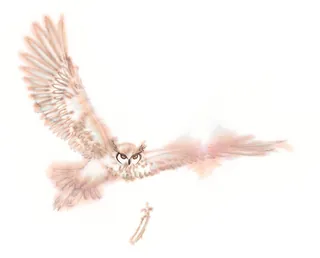 Illustration of a flying owl with outstretched wings on white background