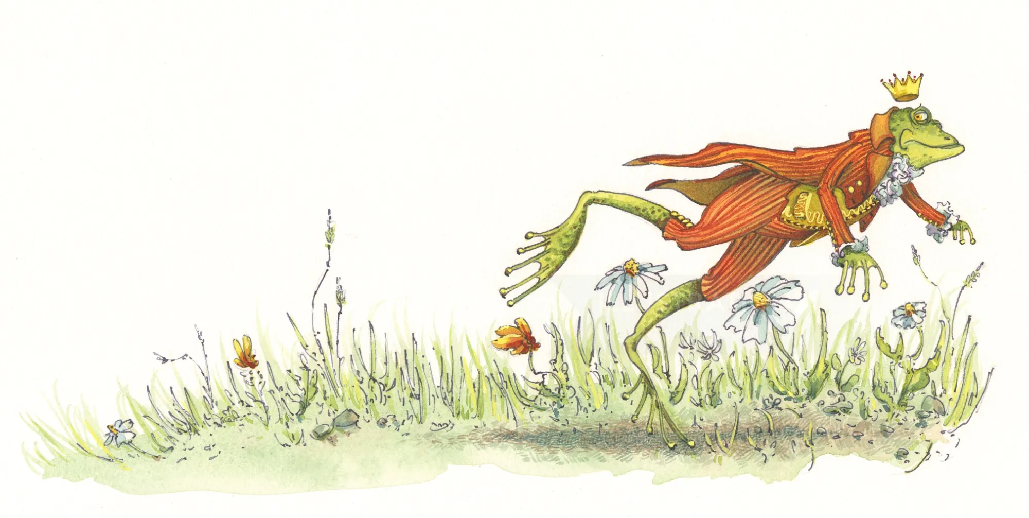 Illustration of a frog prince running in a grassy field Marieke Nelissen