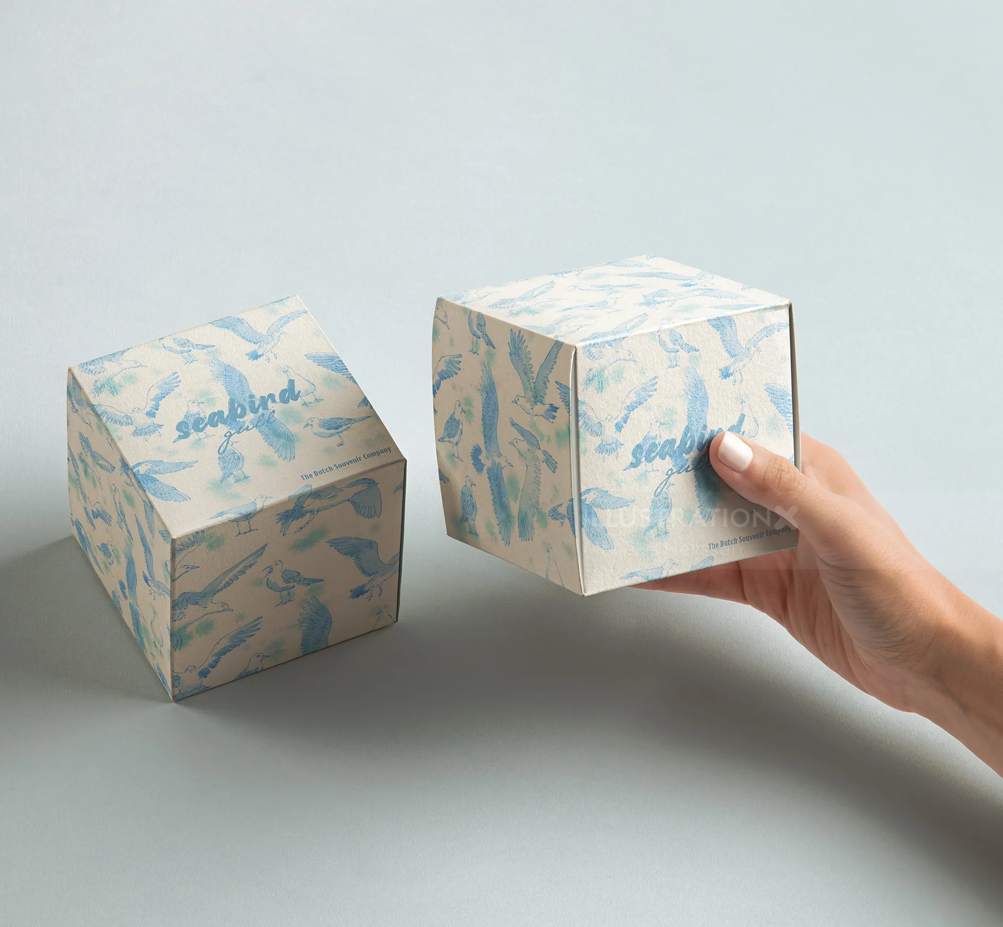 Ink-illustrated souvenir packaging cubes by Marieke Nelissen