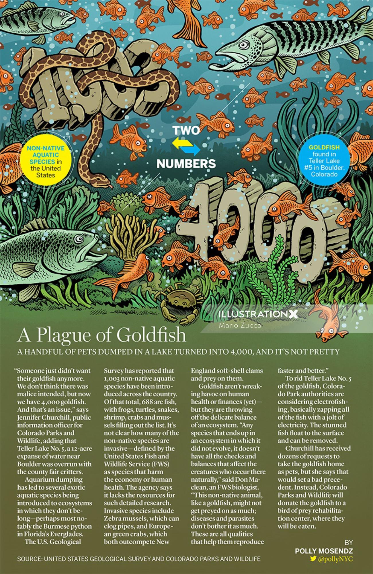 Editorial illustration of plague of Goldfish 