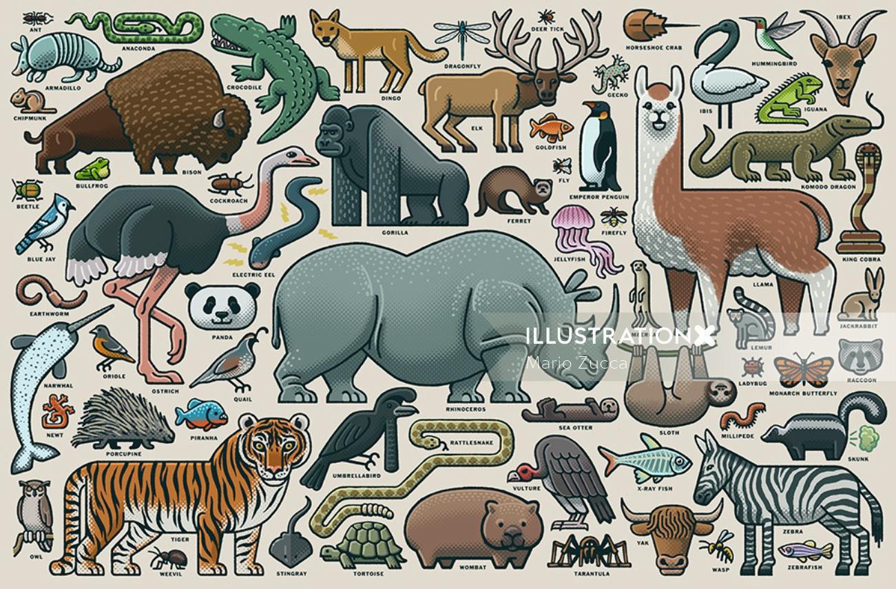 Graphic design of animal collage 