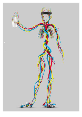 anatomie humaine 3D
