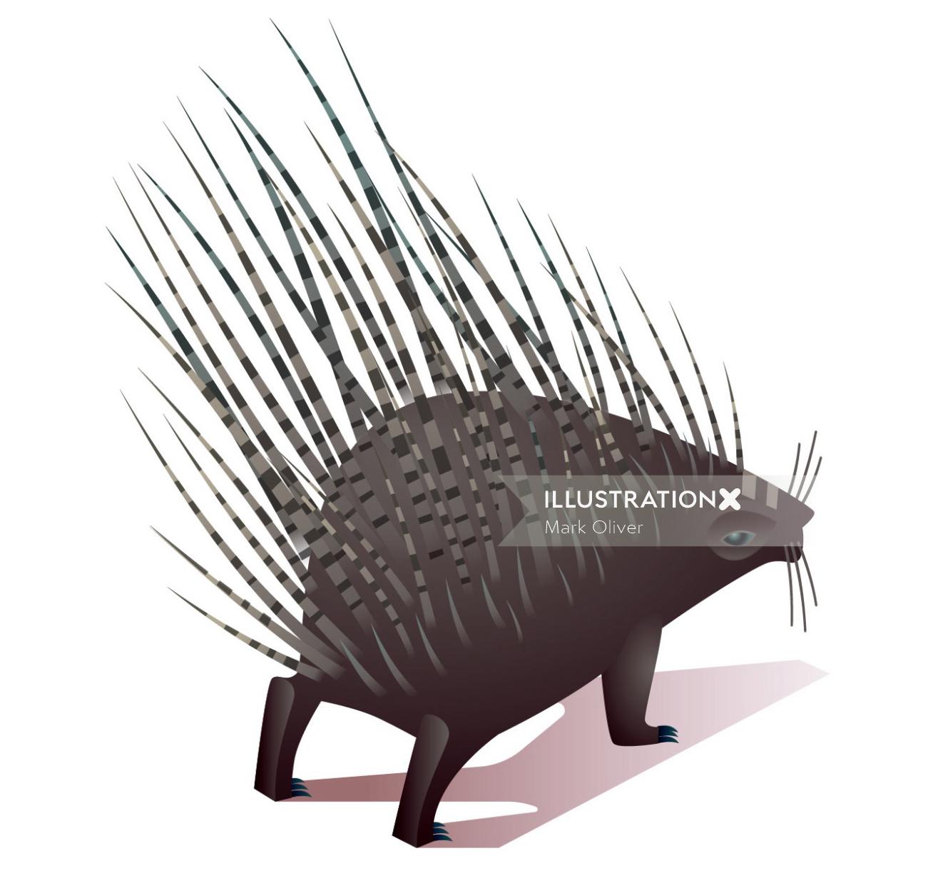 porcupine cartoon artwork by Mark Oliver