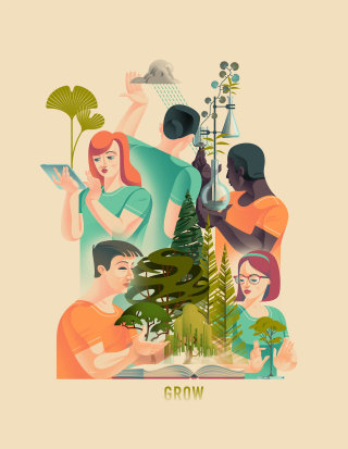 Arte del cartel de biología vegetal.
