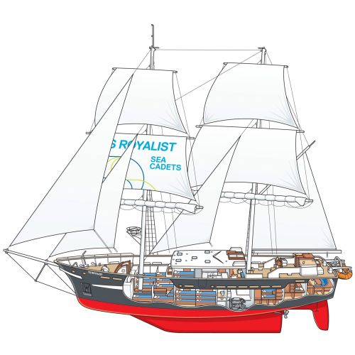 TS Royalist Sailing Ship line and color illustration