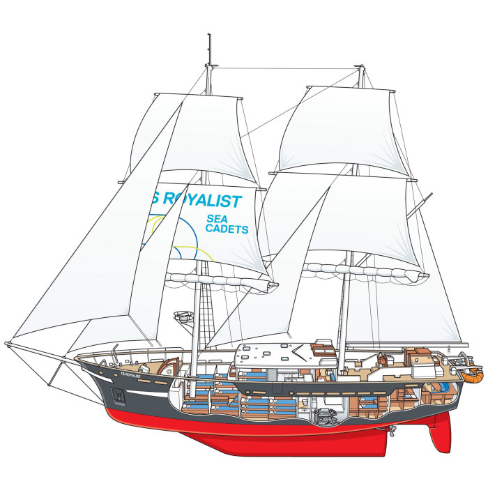 Linha TS Royalist Sailing Ship e ilustração colorida