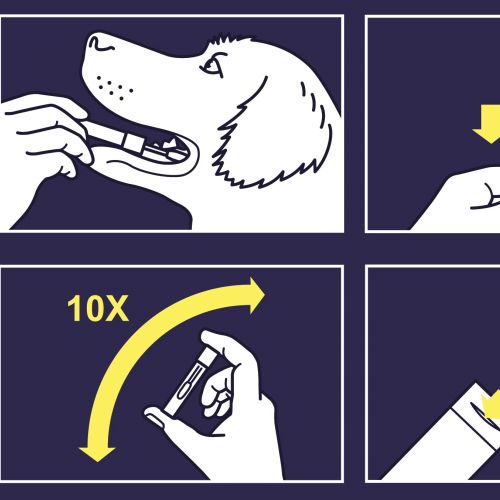 Dog DNA test kit instructions with sample collection and processing steps by Mark Watkinson