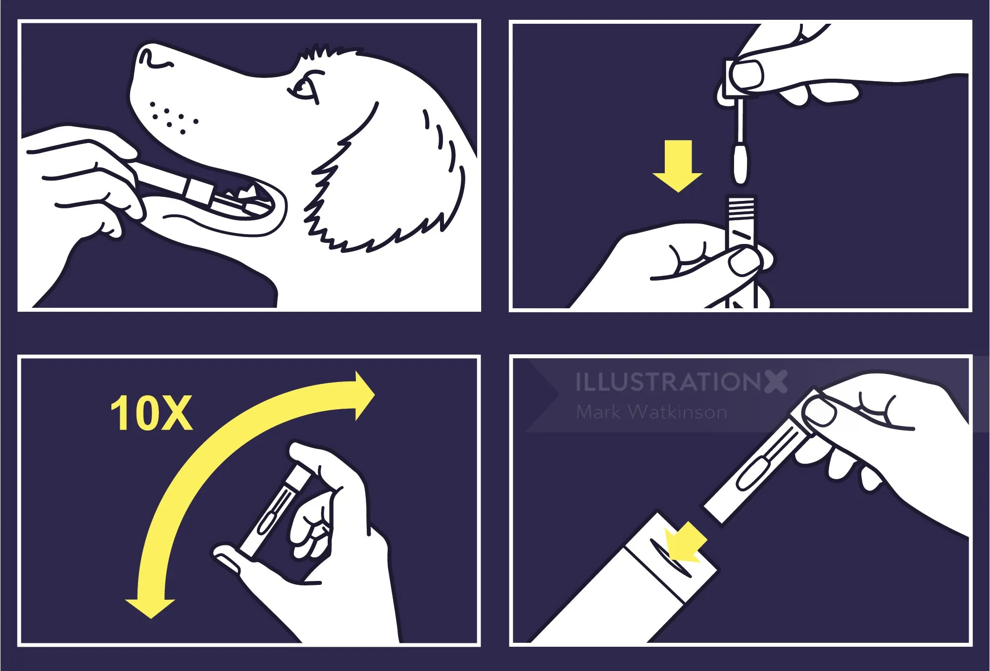 Dog DNA test kit instructions with sample collection and processing steps by Mark Watkinson
