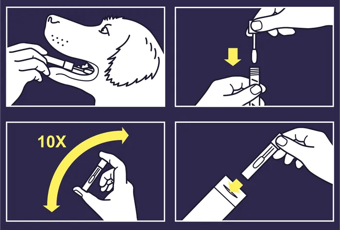 Dog DNA test kit instructions with sample collection and processing steps by Mark Watkinson