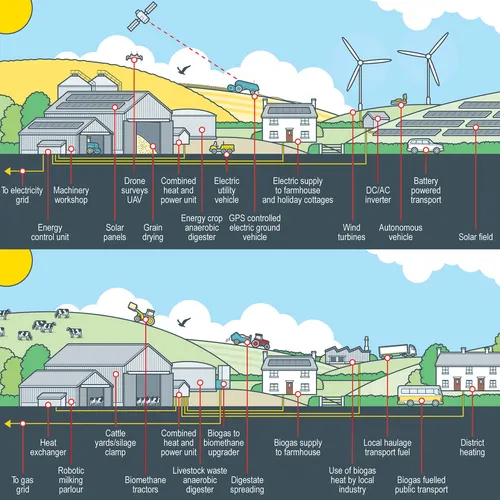 Infographic illustration of solar filed station
