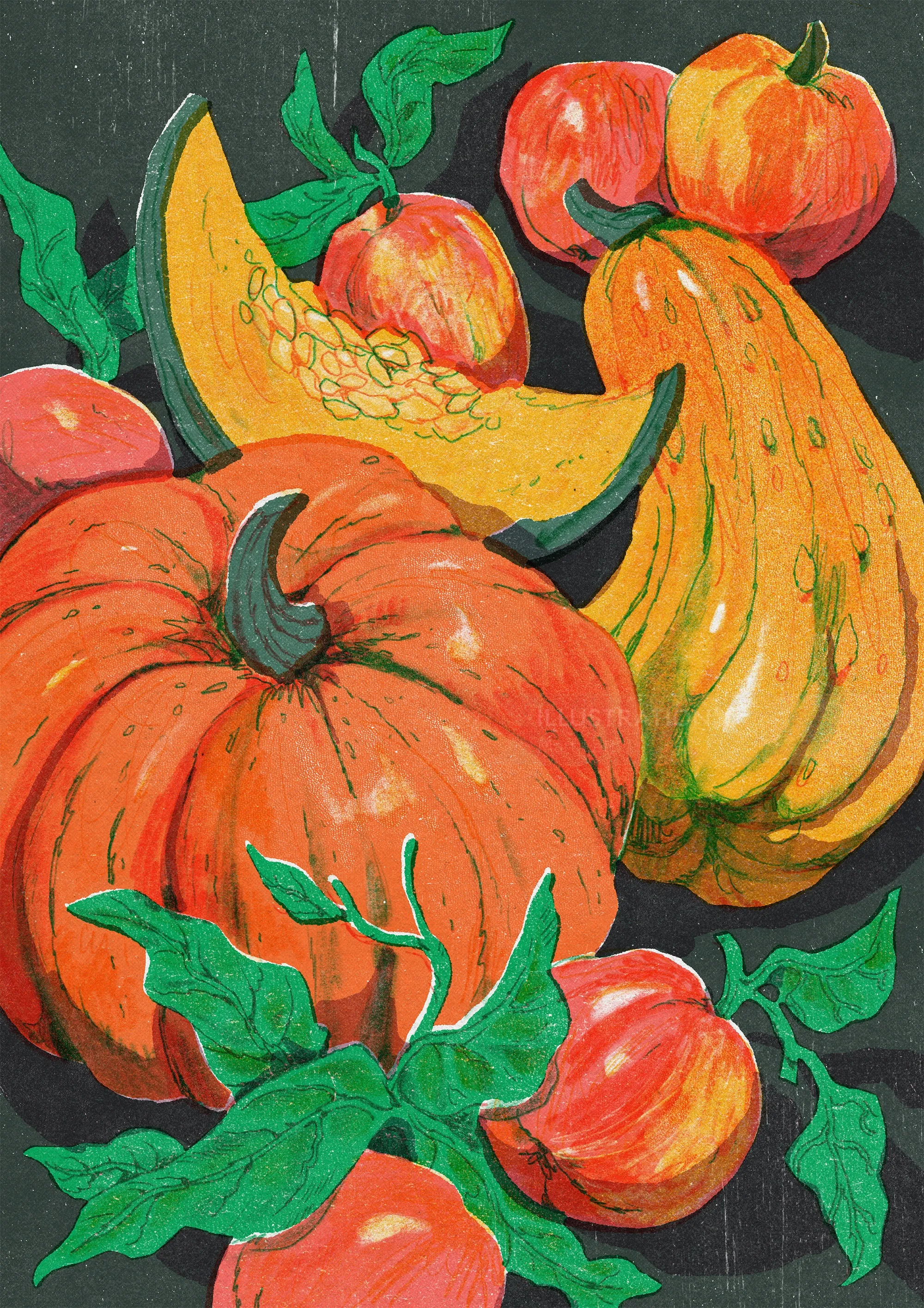 Mart Lett illustration of pumpkins, squash, apples, and green leaves