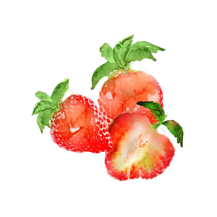 Peinture à l&#39;aquarelle aux fraises par Marta Spendowska