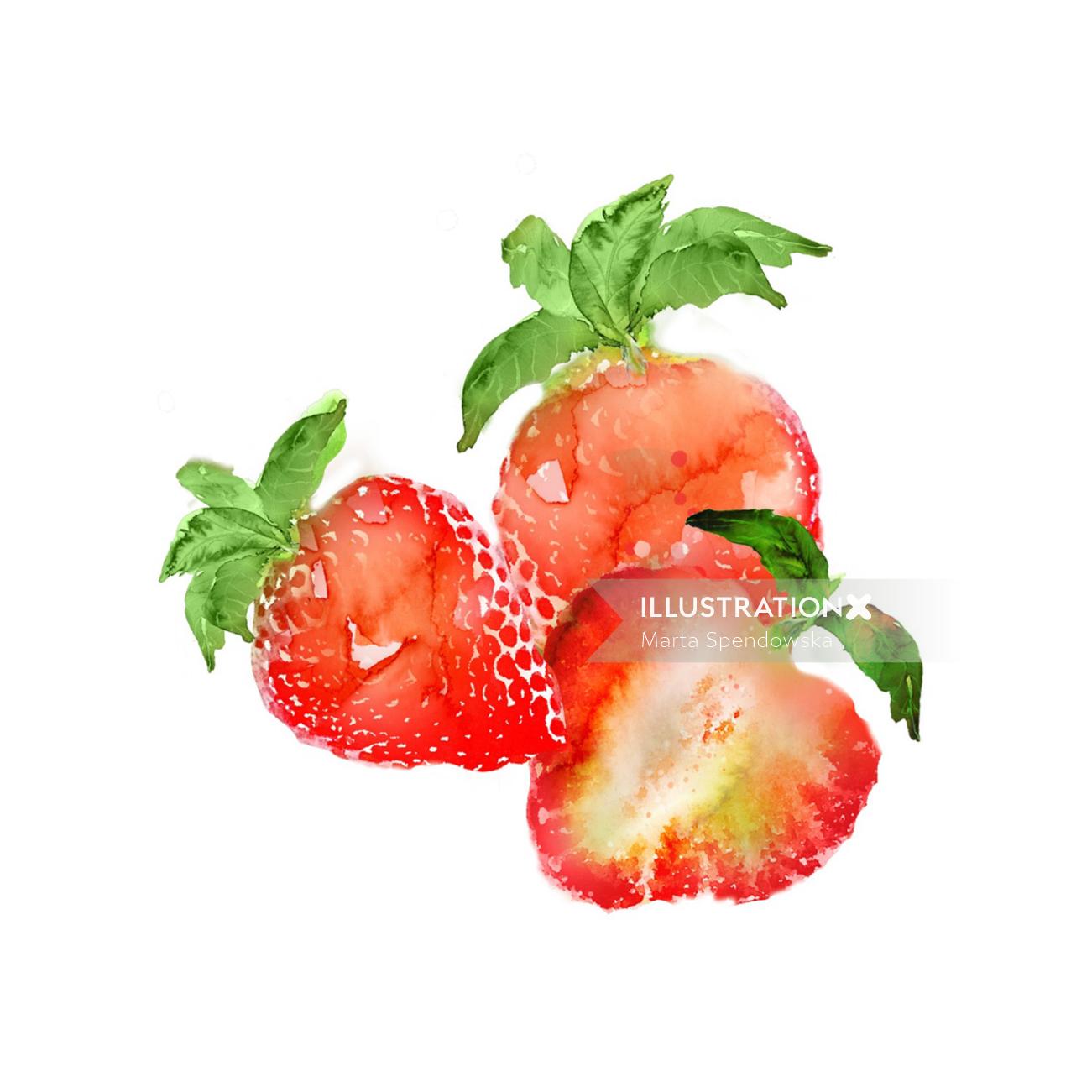 Marta Spendowska的草莓水彩画