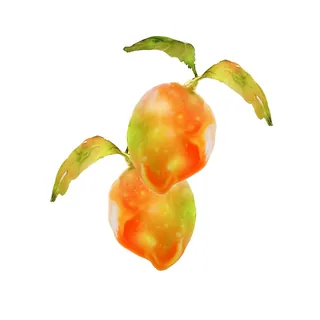 Digital illustration of two orange fruits with green leaves by Marta Spendowska