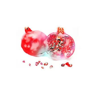 Pomegranate drawing by Marta Spendowska