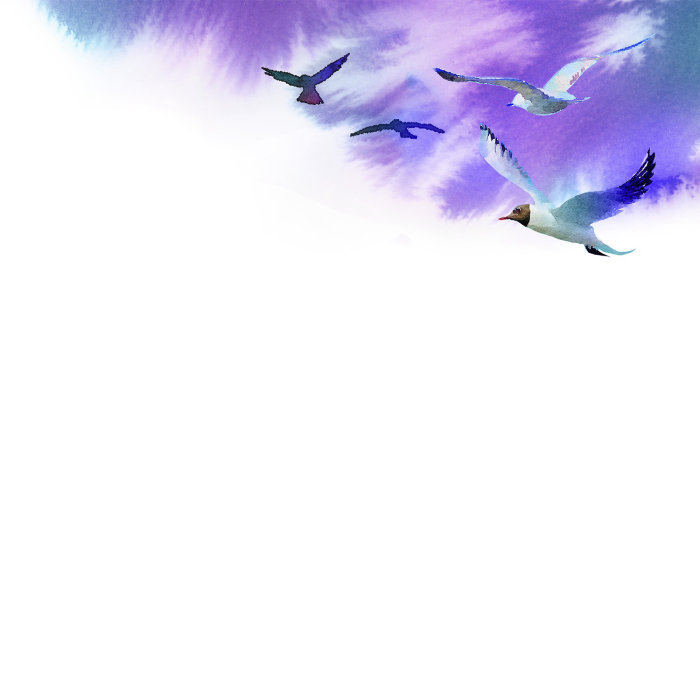 Painting of birds flying in the blue sky