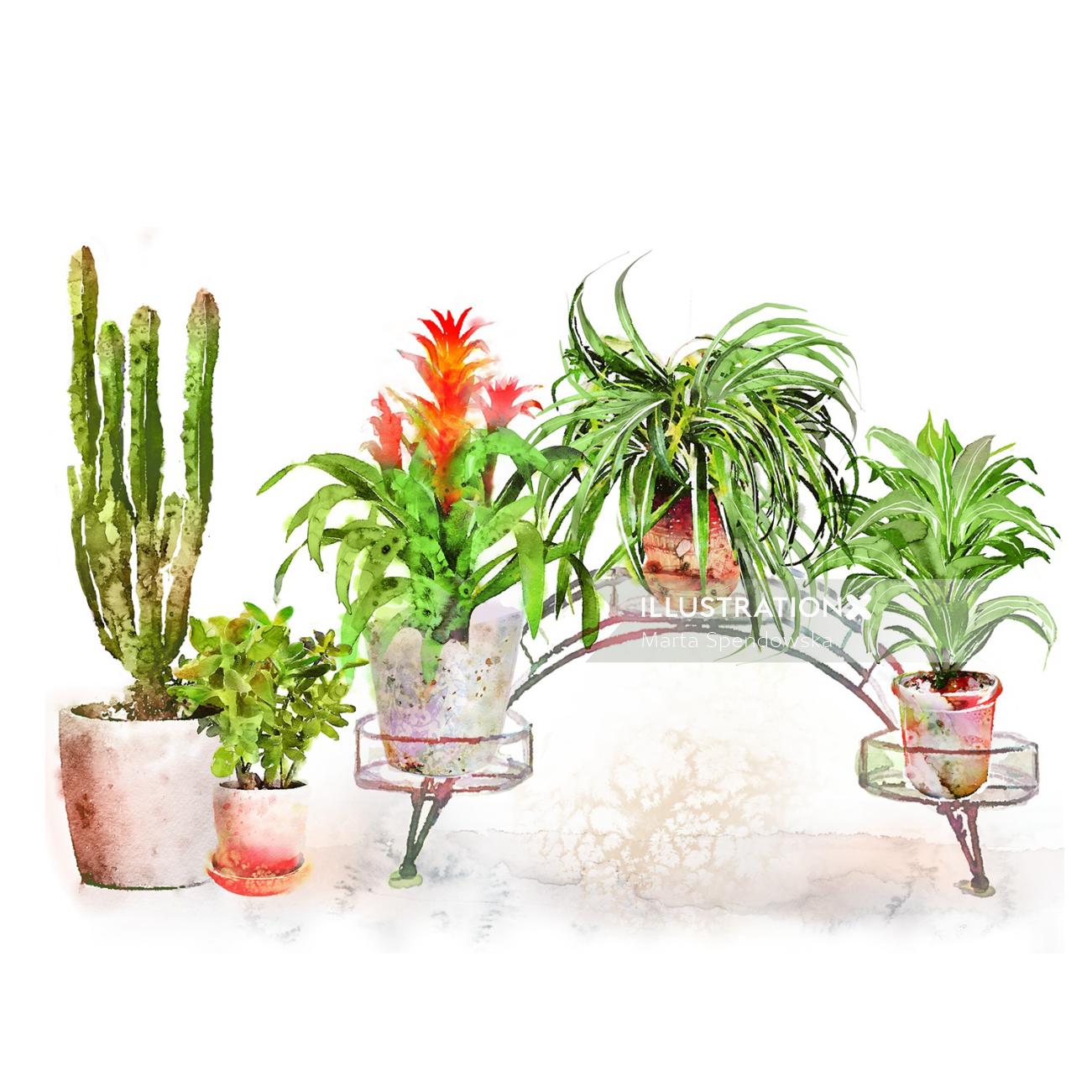 室内植物水彩插图