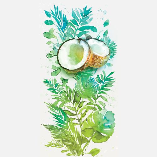Watercolor painting of coconut and green tropical leaves by Marta Spendowska