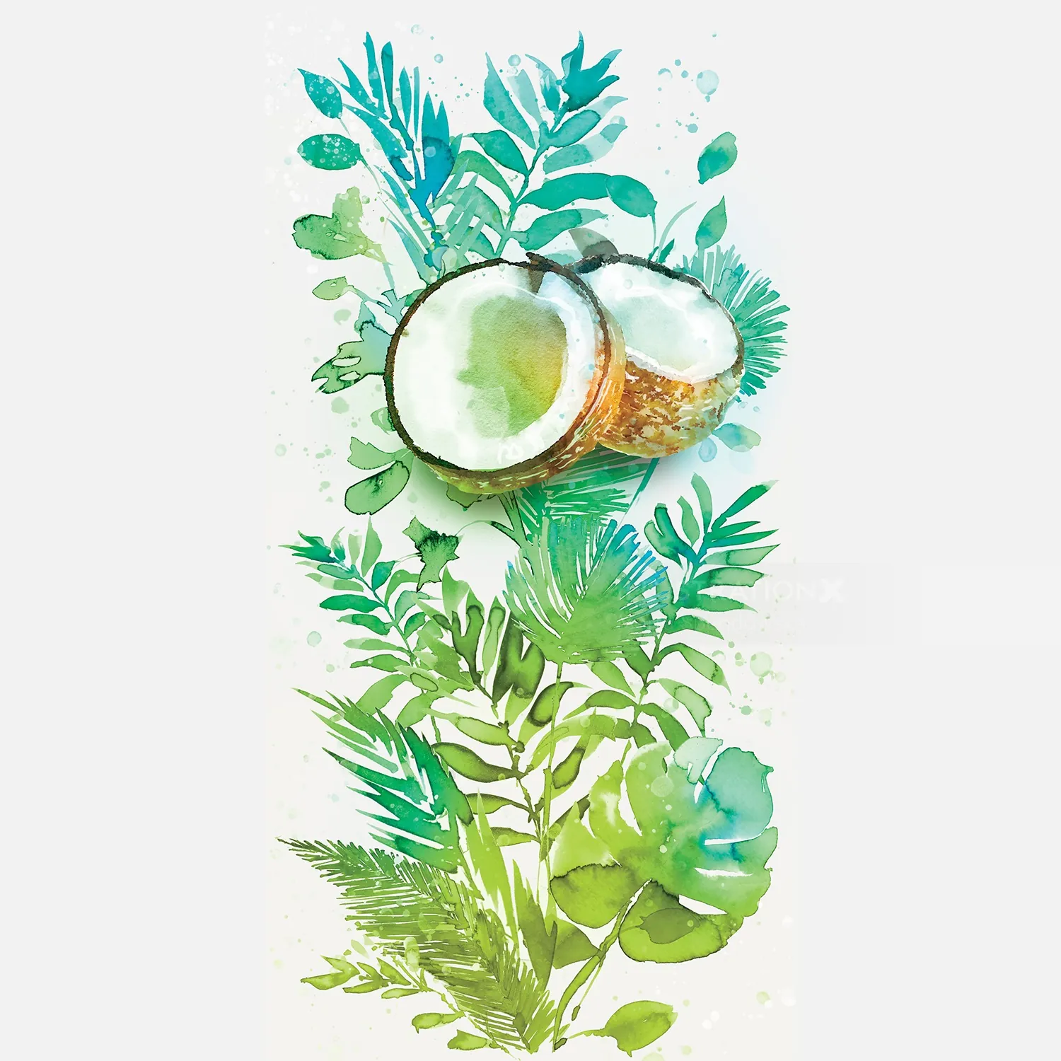 Watercolor painting of coconut and green tropical leaves by Marta Spendowska
