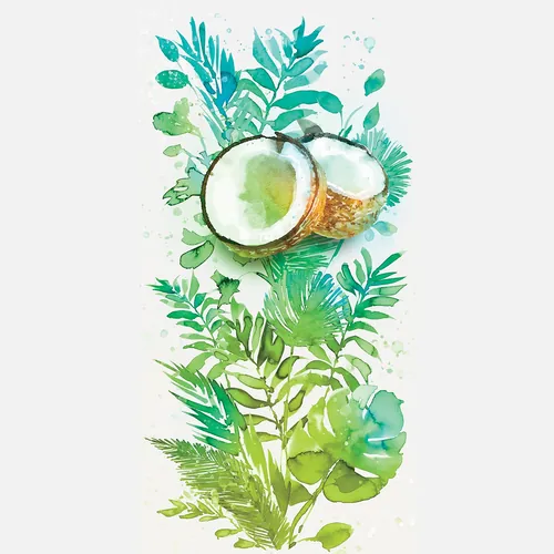 Watercolor painting of coconut and green tropical leaves by Marta Spendowska