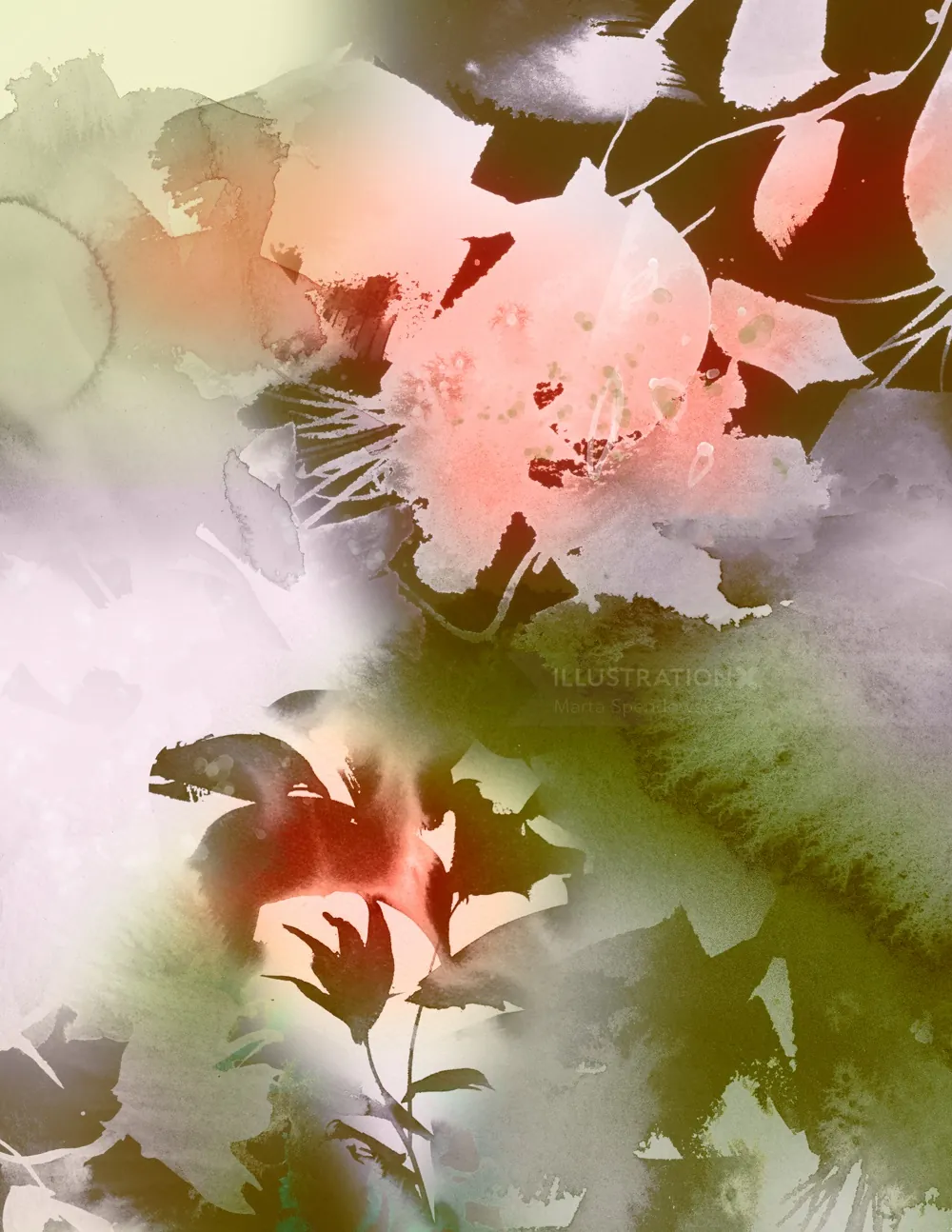 Abstract floral watercolor painting by Marta Spendowska