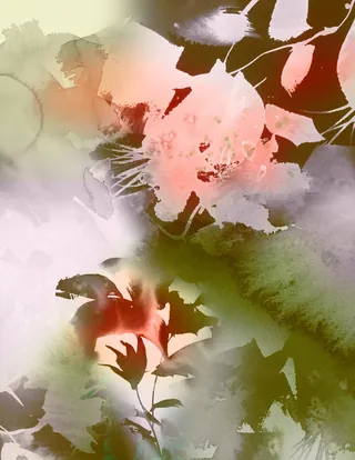 Abstract floral watercolor painting by Marta Spendowska