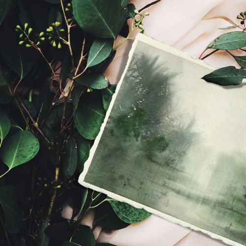 Faded green vintage photograph on fabric with leaves by Marta Spendowska