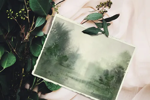 Faded green vintage photograph on fabric with leaves by Marta Spendowska