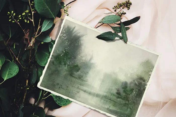 Faded green vintage photograph on fabric with leaves by Marta Spendowska