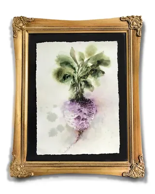 Watercolor painting of a turnip by Marta Spendowska in a gold ornate frame