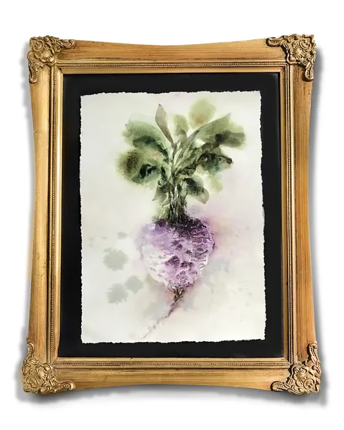 Watercolor painting of a turnip by Marta Spendowska in a gold ornate frame