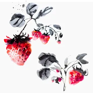 Watercolor illustration of strawberries and leaves with black and red tones