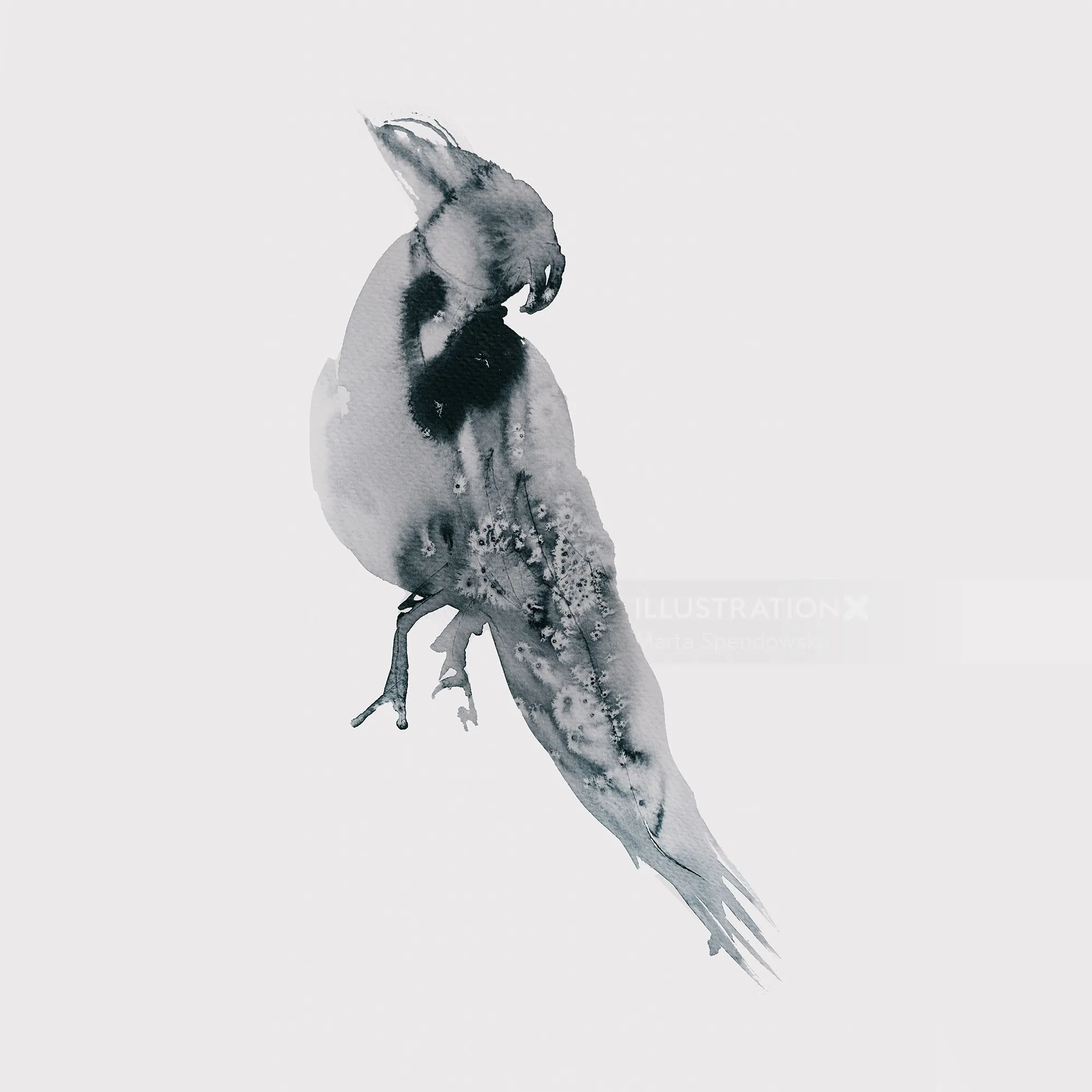 Abstract black and white bird illustration with ink texture