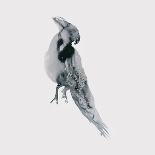 Abstract black and white bird illustration with ink texture